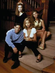 Eine junge Frau ist gezwungen, ihr Schicksal zu erf&uuml;llen, Vampire und D&auml;monen mit der Hilfe ihrer Freunde zu bek&auml;mpfen, w&auml;hrend sie dabei k&auml;mpfen, ein normales Teenagerleben mit Herzzerbrechen und Drama zu leben.