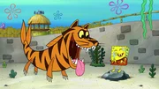 L-R: Sea tiger, SpongeBob