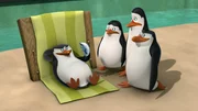 L-R: Skipper, Private, Kowalski, Rico L-R: Skipper, Private, Kowalski, Rico
