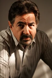 In Las Vegas wurde ein f&uuml;nfj&auml;hriger Junge entf&uuml;hrt und nach einer Woche in der W&uuml;ste ermordet aufgefunden. Als ein zweites Kind, Michael, entf&uuml;hrt wird, schaltet sich das BAU-Team um Rossi (Joe Mantegna) ein ...