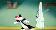 Sylvester