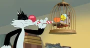 v.li.: Sylvester, Tweety v.li.: Sylvester, Tweety