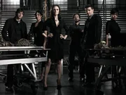 TJ Thyne, Michaela Conlin, David Boreanaz, Emily Deschanel, John Francis Daley, Tamara Taylor