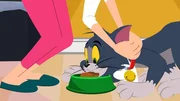 Tom Tom