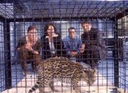 Andrea (Carina Wiese, li.), Tom (Rene Steinke, re.) und Semir (Erdogan Atalay) zeigen Frau Dr. F&ouml;rster (Ina Rudolph) die eingeschmuggelte und beschlagnahmte Wildkatze.
