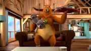 v.li.: Waschbär, Grizzy v.li.: Waschbär, Grizzy