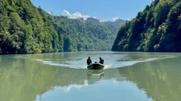 Bibermonitoring an der Drau.