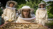 Entsetzt schaut Pippa sich die getöteten Bienen an Entsetzt schaut Pippa sich die getöteten Bienen an