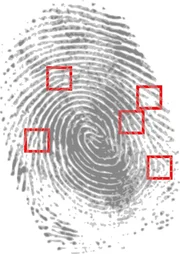Fingerprint.