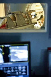 Labrador bei einer Untersuchung