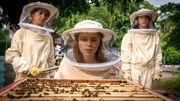 Entsetzt schaut Pippa sich die get&ouml;teten Bienen an