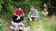 Wer k&ouml;nnte den Staatsanwalt Russell so brutal ermordet haben? Carlos Sanchez (Carlos Gomez, l.) und Jim Longworth (Matt Passmore) suchen am Tatort nach Spuren.