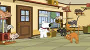 Brian Griffin