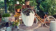 "GartenKULT", "Der Kreativgarten." Gartenprofi Josef Starkl und Moderatorin Katharina Gritzner zeigen pfiffige Tipps und Tricks.
