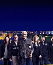 12. Staffel: Das CSI-Team (v.l.): Dr. Albert Robbins (Robert David Hall), Sara Sidle (Jorja Fox), Nick Stokes (George Eads), D.B. Russell (Ted Danson), Catherine Willows (Marg Helgenberger), Greg Sanders (Eric Szmanda) und Captain Jim Brass (Paul Guilfoyle).