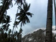 CGI tsunami Wave CGI tsunami Wave