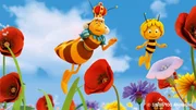 Maya l''abeille 3D
