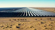 Das Sultanat setzt verst&auml;rkt auf erneuerbare Energien und den Bau von Solaranlagen.