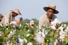 Als freier Afroamerikaner hat Solomon (Chiwetel Ejiofor) ein komfortables Leben im Staate New York gef&uuml;hrt, bis er entf&uuml;hrt und in die Sklaverei verkauft wird. Unter der Gewalt des brutalen Sklaventreibers Edwin Epps muss Solomon, nun "Platt" genannt, bis zur Ersch&ouml;pfung auf den Feldern Baumwolle pfl&uuml;cken und sich den Schl&auml;gen des Sklavenbesitzers unterwerfen ...
