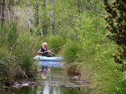 Der Riedsee ist mit rund 10 Hektar die gr&ouml;&szlig;te Wasserfl&auml;che im Moorgebiet des Wurzacher Ried. Wie viele Seen in der Gegend ist auch er aus einem alten Torfstich entstanden. Als Naturschutzgebiet werden die alten Nutzfl&auml;chen heute renaturiert &ndash; aber nicht durch den Mensch, sondern durch den Biber.