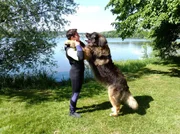 Maurice Neef und sein Hund, der Leonberger R&uuml;de Endor, sind Teil eine 19-k&ouml;pfigen Rettungshundestaffel im S&uuml;dwesten.