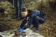 In einem warmen Schlammloch inmitten des Nationalparks wurden Leichenteile gefunden. Die forensische Anthropologin Dr. Temperance Brennan (Emily Deschanel) versucht anhand der &Uuml;berreste das Opfer zu ermitteln.  +++