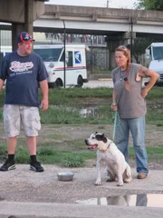 Tia and Sugar Hill with Legacy after the rescue.