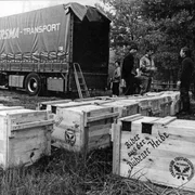 Exportschlager zu DDR Zeiten - Biber aus der D&uuml;bener Heide