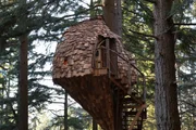 The finished Honeycomb Hideout treehouse.