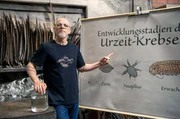 Die &Auml;lteren unter uns kennen sicherlich noch das wohl beste Gimmick der &bdquo;Yps&ldquo;-Hefte: die Urzeitkrebse! Doch wie schaffen es die Tierchen, Jahre in solchen T&uuml;tchen und auch in der Natur bei andauernder Trockenheit zu &uuml;berleben? Thomas D geht der Frage nach, bei &bdquo;Wissen vor acht &ndash; Natur&ldquo;.