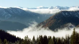 Das Mangfallgebirge bietet Lebensr&auml;ume, die im Flachland bereits verloren sind. Weiteres Bildmaterial finden Sie unter www.br-foto.de.