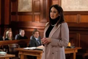 Mozhan Navabi als Attorney Dean