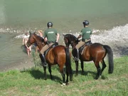 Polizisten mit Pferden im Einsatz beim Reggae-Festival.