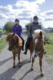 Ausreiten macht Pony und Reiter Spa&szlig;. Alleine Ausreiten darf man aber erst, wenn man sicher reiten kann.