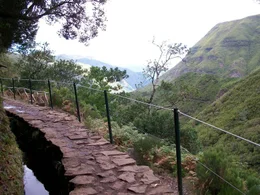 Madeira - Levada