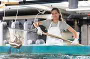 Meeresfische frisch aus dem Münsterland. Konzept der 40-jährigen Louise Niehues: auf dem Hof in Münster-Albersloh züchtet sie Wolfsbarsche in umgebauten Überseecontainern. Meeresfische frisch aus dem Münsterland. Konzept der 40-jährigen Louise Niehues: auf dem Hof in Münster-Albersloh züchtet sie Wolfsbarsche in umgebauten Überseecontainern.