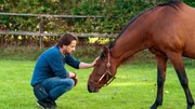 Henry (Oliver Mommsen) m&ouml;chte mit seinem Pferd "Feelgood" an die Spitze Deutschlands schaffen!