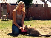 Das Gepardenm&auml;dchen Tina ist verwaist nach Harnas gebracht worden.