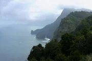 Madeira K&uuml;ste  Copyright: SRF/Colour Communications