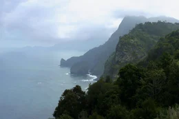Madeira K&uuml;ste  Copyright: SRF/Colour Communications