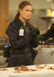 Als menschliche &Uuml;berreste in dem Eintopf einer Schulcafeteria gefunden werden, muss das Team um Brennan (Emily Deschanel) zun&auml;chst das Opfer identifizieren.