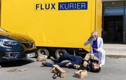 Dr. Kathrin Globisch (Andrea Kathrin Loewig) hat gerade ein Paket &uuml;bergeben bekommen, als der Bote (Hadi Khanjanpour) direkt vor der Sachsenklinik von einem Auto angefahren wird.
