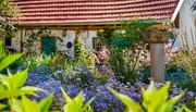 ARD/NDR GEHEIMNISVOLLER GARTEN, "Frühlingserwachen", am Sonntag (28.09.14) um 16:30 Uhr im ERSTEN. Seit über 5000 Jahren legt der Mensch Gärten an. Zunächst reine Nutzgärten, aber schon die alten Römer pflanzten Blumen und Sträucher allein zur Zierde. ARD/NDR GEHEIMNISVOLLER GARTEN, "Frühlingserwachen", am Sonntag (28.09.14) um 16:30 Uhr im ERSTEN. Seit über 5000 Jahren legt der Mensch Gärten an. Zunächst reine Nutzgärten, aber schon die alten Römer pflanzten Blumen und Sträucher allein zur Zierde.