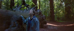 Die Reise von Fern (Frances McDormand) f&uuml;hrt sie immer wieder an landschaftlich atemberaubende Orte.