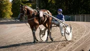 Alexandra (Anne Sch&auml;fer) geht mit dem Hengst "Feelgood" ins Rennen.