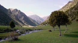 Kirgisisches Hochgebirgstal. Ein idealer Platz f&uuml;r das Sommerlager der Nomaden, das so genannte &bdquo;Djailoo&ldquo;.