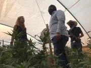 Mariana van Zeller (L) talking with subjects in a marijuana greenhouse. (Credit: National Geographic)