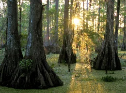 Mississippi