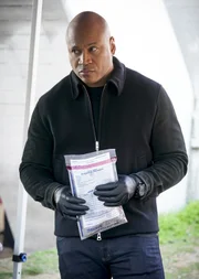 Sam Hanna (LL Cool J)
