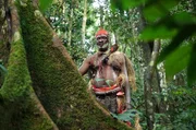 Mambongo, Stammesh&auml;uptling und Schamane, sieht sich zusehends in der Rolle eines H&uuml;ters des Waldes.
